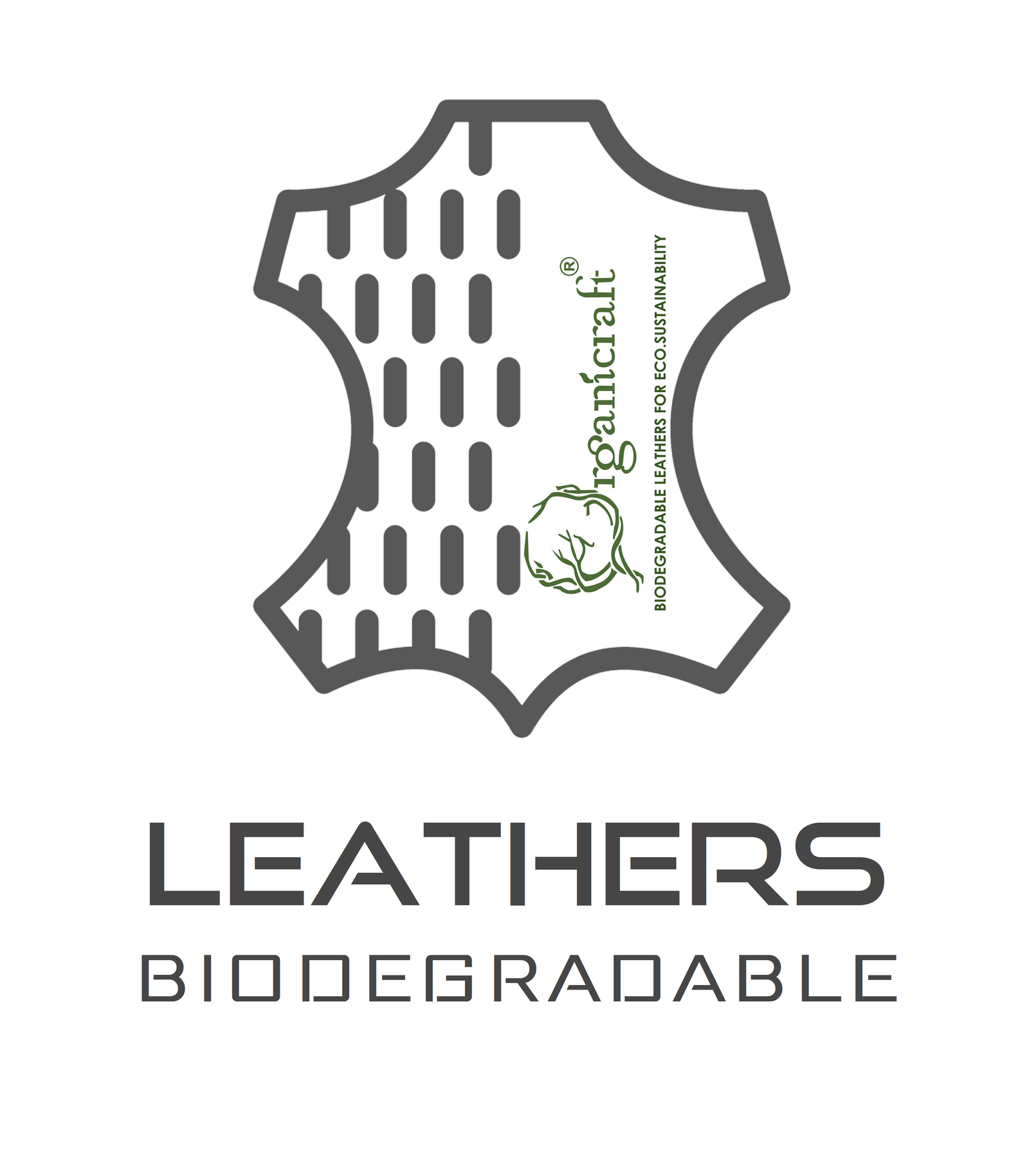 https://www.sscgrp.com/wp-content/uploads/2022/01/LEATHERS-BIODEGRADABLE.png